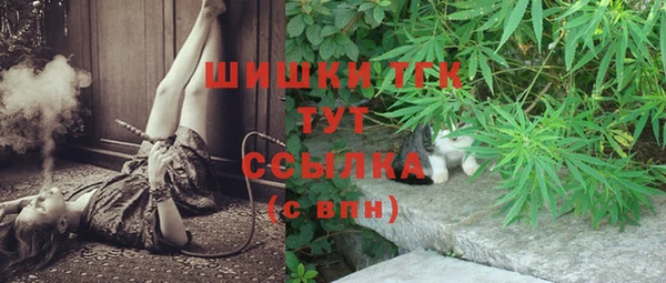 хмурый Алзамай